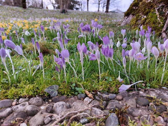 Foto: Olivia Di Marco, Frick