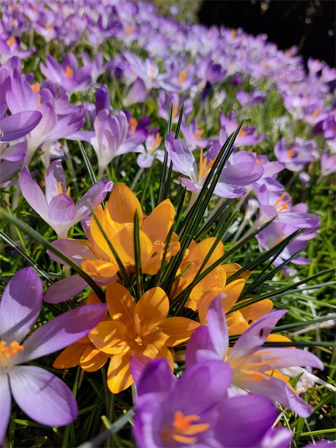 Foto: Olivia Di Marco