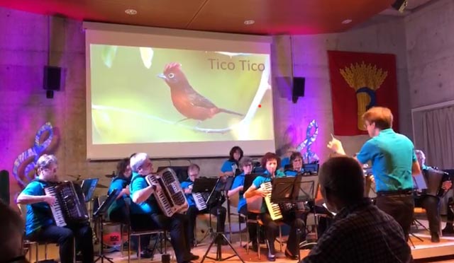 Harmonika-Orchester Möhlin unter der musikalischen Leitung von David Meyer. Foto: zVg