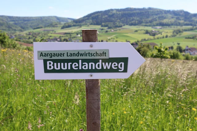 Wegweiser auf dem Buurelandweg. Foto: Mira Güntert, Aargauer Zeitung