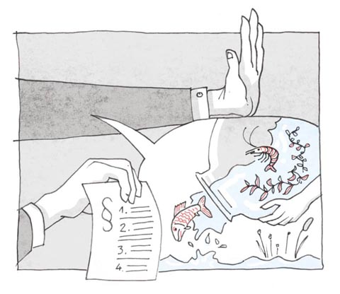 Das Freisetzen von gebietsfremden Tieren und invasiven Pflanzen ist illegal. Illustration: © Valentin Rüegg