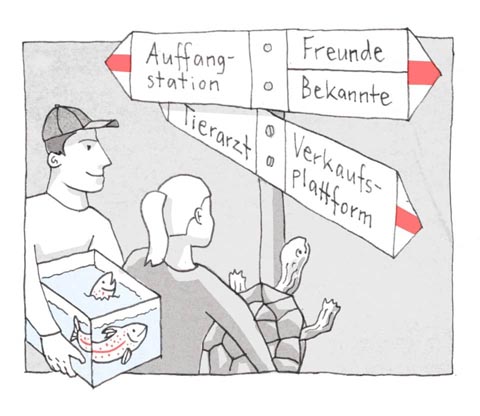 Falls Tiere oder Pflanzen nicht mehr behalten werden können gibt es andere Möglichkeiten. Illustration: © Valentin Rüegg