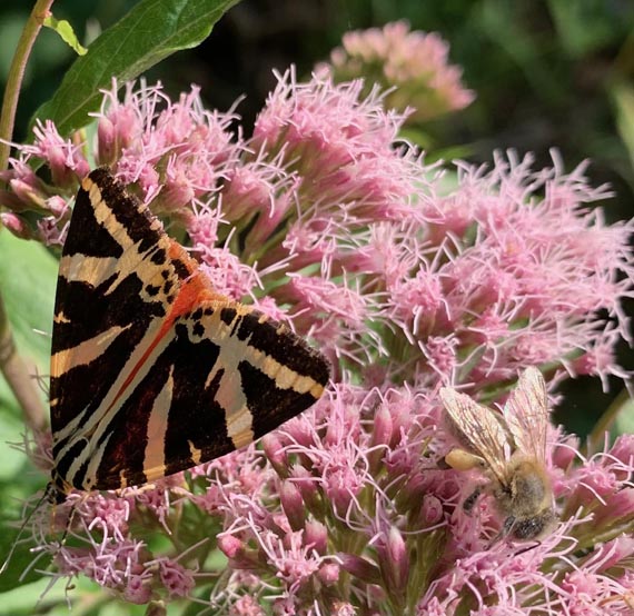 Foto: Margrit Freudemann