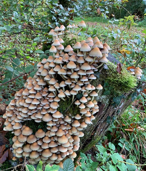 Foto: Margrit Freudemann