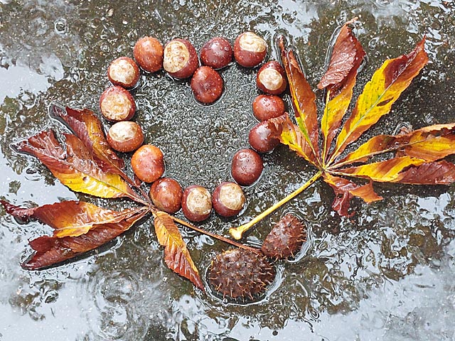 Foto: Olivia Di Marco