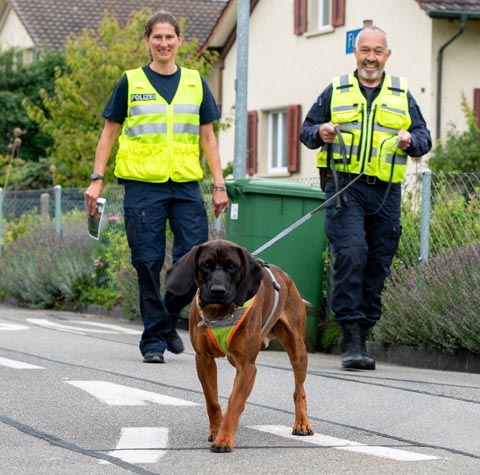 Personensuchhund «Farouk» spürte den Vermissten auf. Foto: Polizei AG