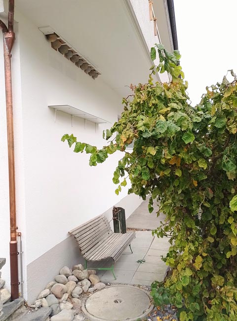 Das Schwalbenhotel wartet auf die quirligen, munteren Gäste. Foto: zVg