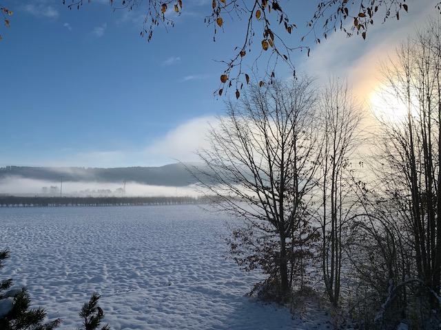 Beobachtet: Wunderschöne Morgenstimmung in Laufenburg
