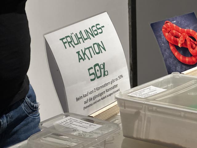 Foto: Olivier Bieli / Basel Animal Save