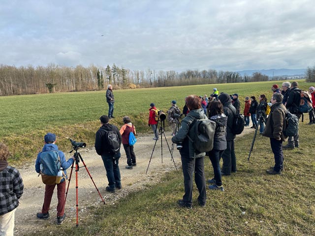 Winterexkursion am Stau von Rheinfelden. Foto: zVg