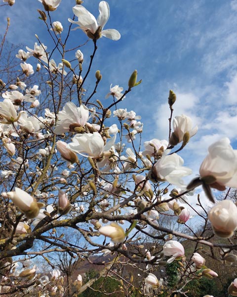 Foto: Olivia Di Marco