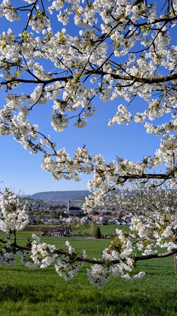 Foto: Bianca Kühweidner