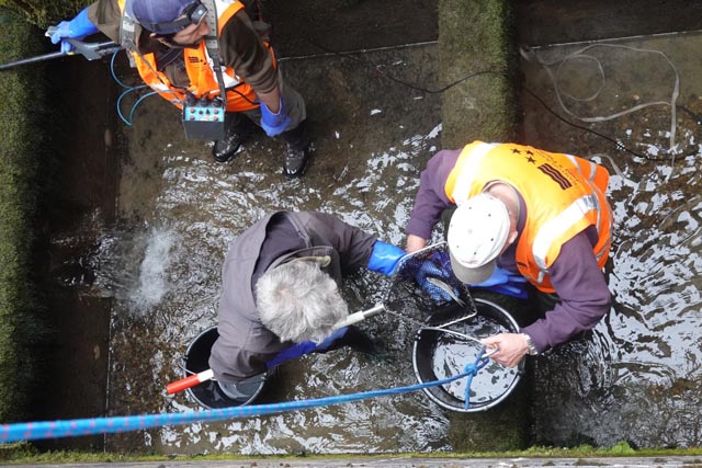 Trockenlegung und Abfischung in Klingnau. Foto: Kanton Aargau