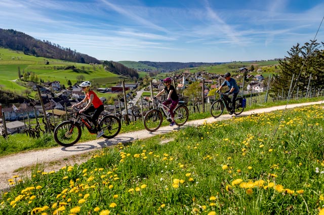 Unterwegs auf der «Baselbieter Reben-Route». Foto: Jan Geerk