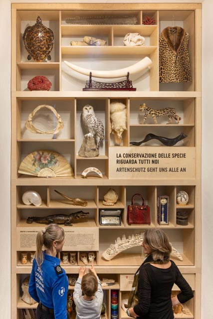 Artenschutz geht uns alle an – Ausstellung im Zollmuseum Gandria. Foto: zVg