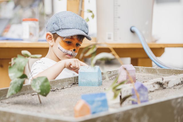 Der «Kleine Fuchs» baut sich seinen Wunschlebensraum. Foto: Noemi Tirro