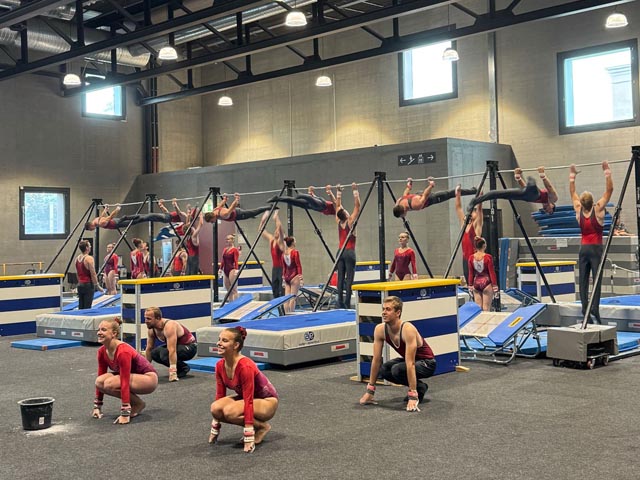 Damenriege und Turnverein Sulz am Reck. Foto: zVg