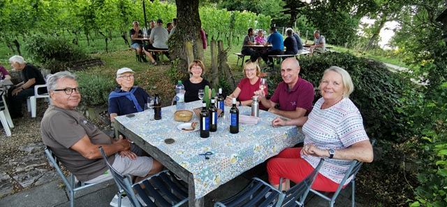 Sommerlicher Rebrundgang in Kaisten