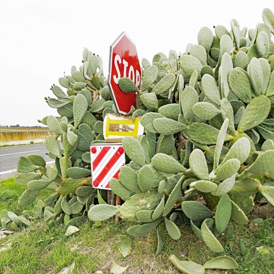 Copertina Mostra. Foto: © zVg Massimo Baldini
