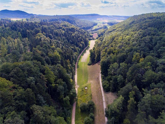 Das Sagemülitäli vor Baustart im Juli 2025: Der hintere Bereich wurde bis anhin intensiv ackerbaulich bewirtschaftet, im vorderen Bereich bestehen noch feuchte Stellen mit verlandeten Tümpeln sowie eine Quellflur. Der Sagemülibach verläuft heute rechts neben dem Feldweg. Foto: © Noah Meier / creaNatira GmbH