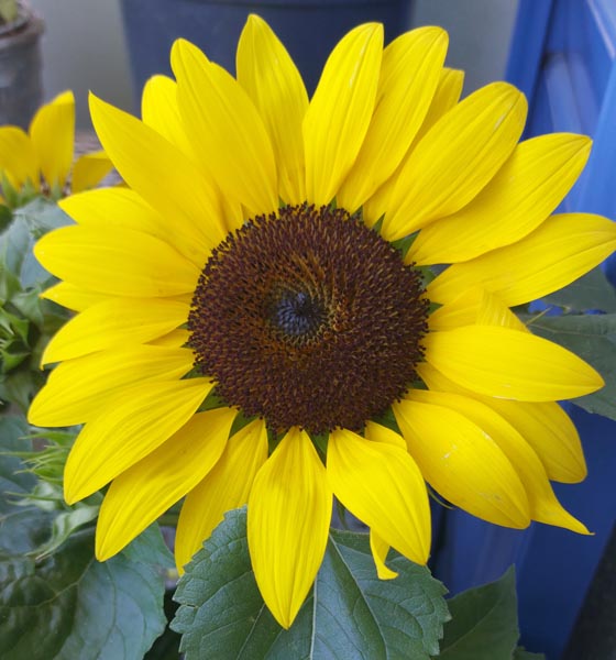 Foto: Olivia Di Marco