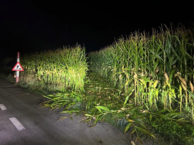 Foto: Polizei Aargau