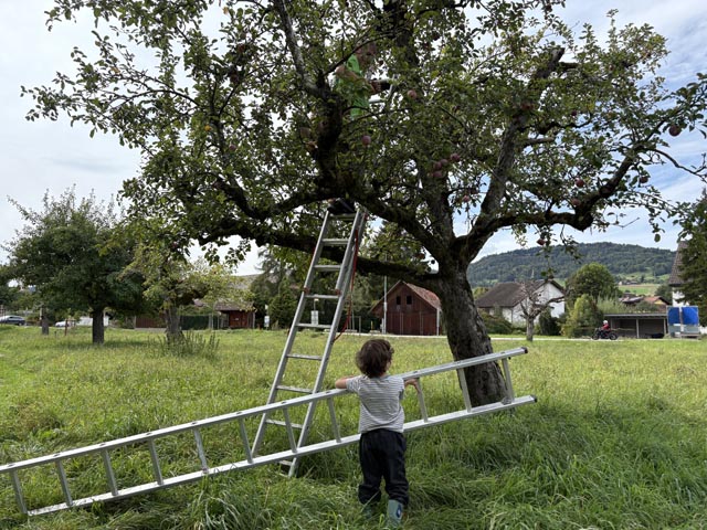 Natur- und Vogelschutzverein lud zum Mosttag. Foto: zVg