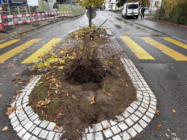 Auch die Verkehrsinsel wurde in Mitleidenschaft gezogen.