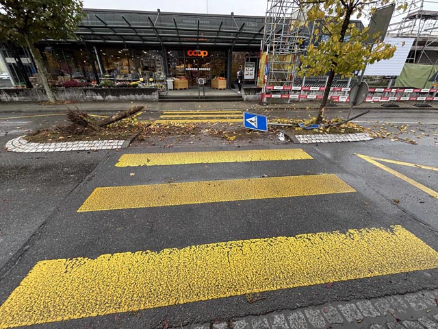 Auch die Verkehrsinsel wurde in Mitleidenschaft gezogen.