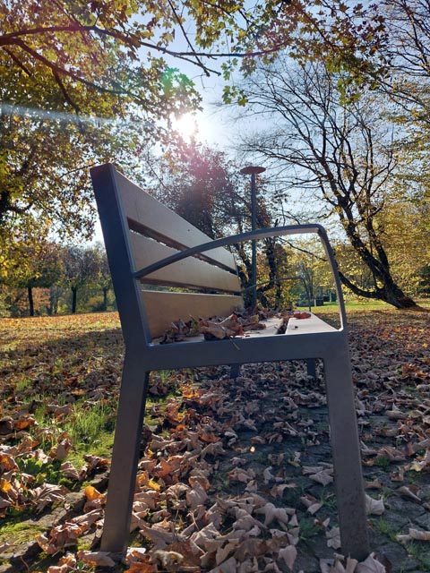 Eine Herbstimpression, fotografiert von Olivia Di Marco