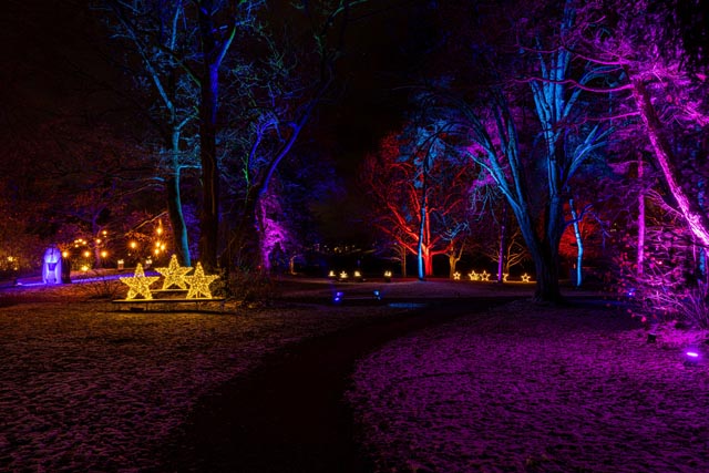 Der «Lichterzauber» im Stadtpark West in Rheinfelden sorgt für besinnliche Weihnachtsstimmung. Fotograf: Markus Raub.