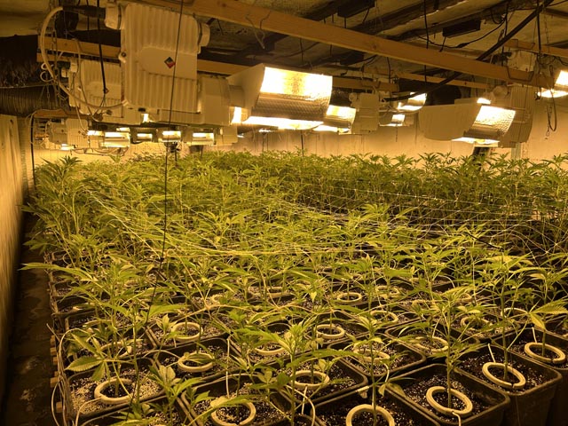 Foto: Bundesamt für  Zoll und Grenzsicherheit (BAZG)