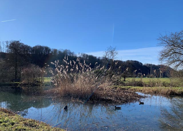 Foto: Margrit Freudemann