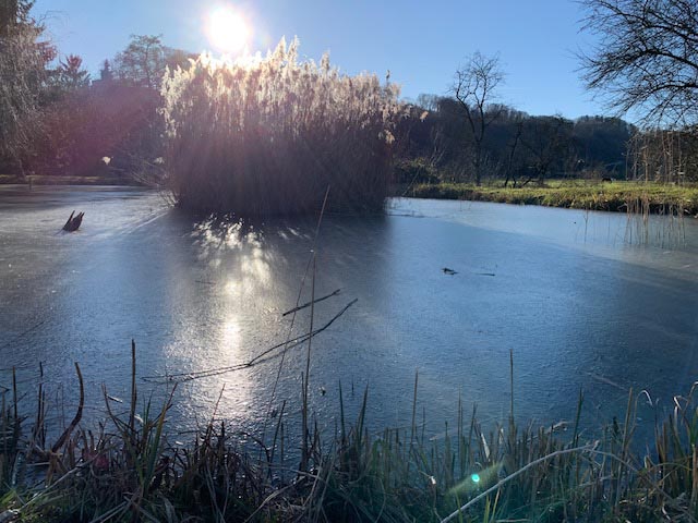 Foto: Margrit Freudemann, Kaisten