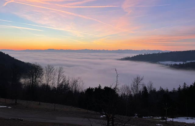 Foto: Nicole Hübner