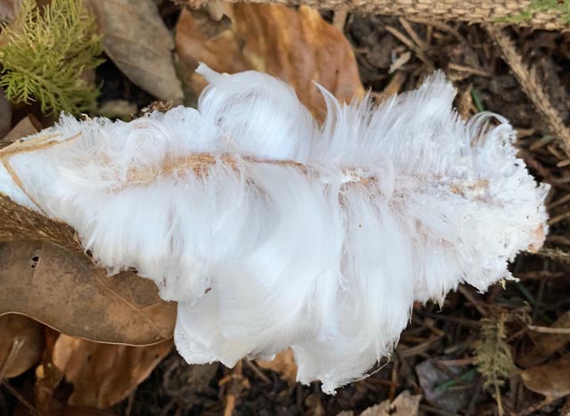 Foto: Margrit Freudemann