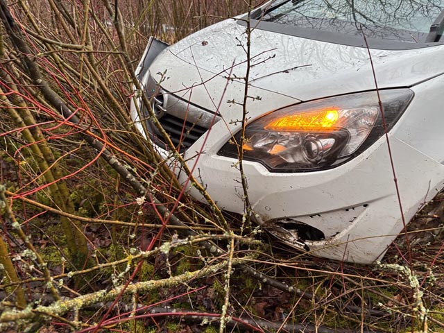 Vermutlich in alkoholisiertem Zustand kam ein Fahrer bei Frick von der Strasse ab.