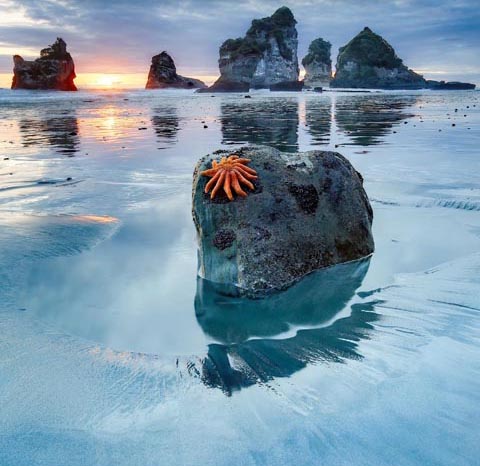 Wunderwerk Natur - wie wir unseren Planeten retten. Foto: zVg 