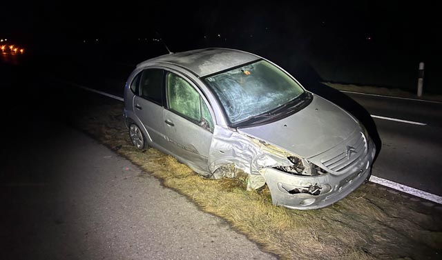Ein alkoholisierter Fahrer verursachte erheblichen Sachschaden.