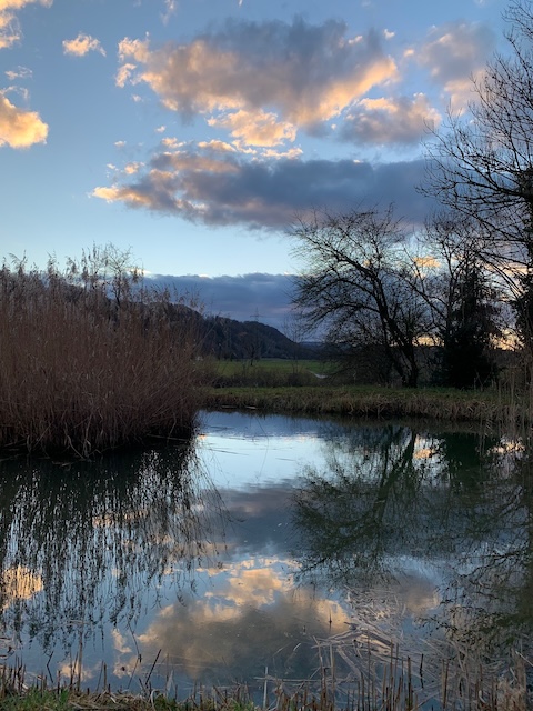 Foto: Margrit Freudemann