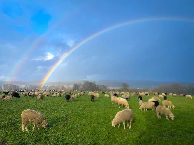 Wunderschöne Stimmung mit doppeltem Regenbogen. Foto: Lea König