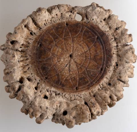 Die Hirschgeweih-Rosette aus der Merowingerzeit hat einen Durchmesser von 8 cm. Der innere Bereich wurde poliert und mit einem Zirkelschlag-Muster verziert.Es handelt sich um ein typisches, wenn auch nicht sehr häufiges Amulett aus dem frühen Mittelalter. Foto: © Kantonsarchäologie Aargau