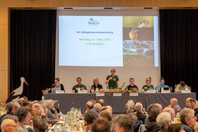 Präsidentin Gertrud Hartmeier begrüsst die Vertreterinnen von über 100 Natur- und Vogelschutzvereinen zur Delegiertenversammlung von BirdLife Aargau in Rheinfelden. Foto: zVg