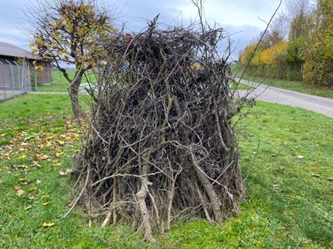Ein Asthaufen sorgt für Biodiversität. Foto: zVg